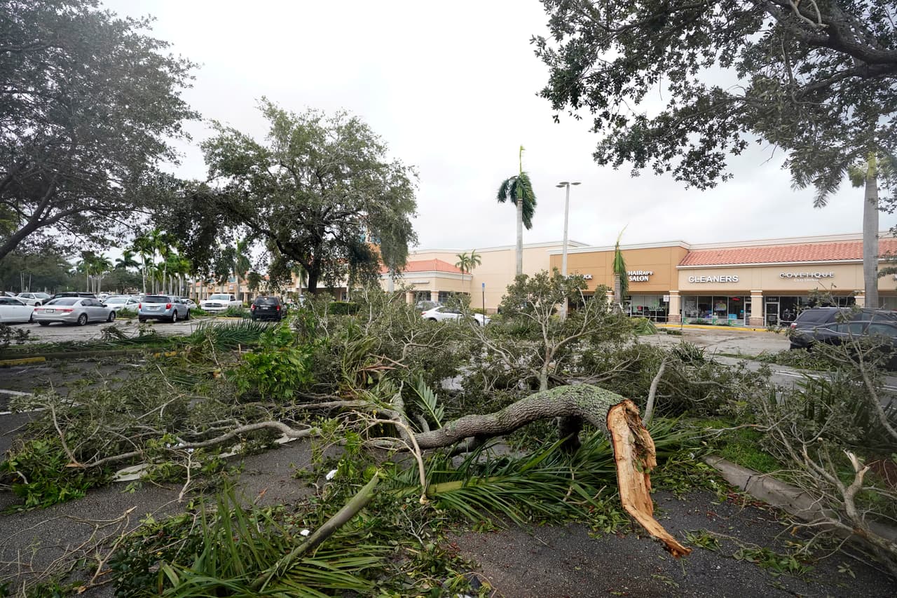Los fuertes vientos, que horas antes de la llegada del huracán se sentían en el oeste de Florida con fuerza de tormenta tropical, comenzaron a provocar destrozos en horas de la mañana. La imagen muestra árboles caídos en Cooper City.