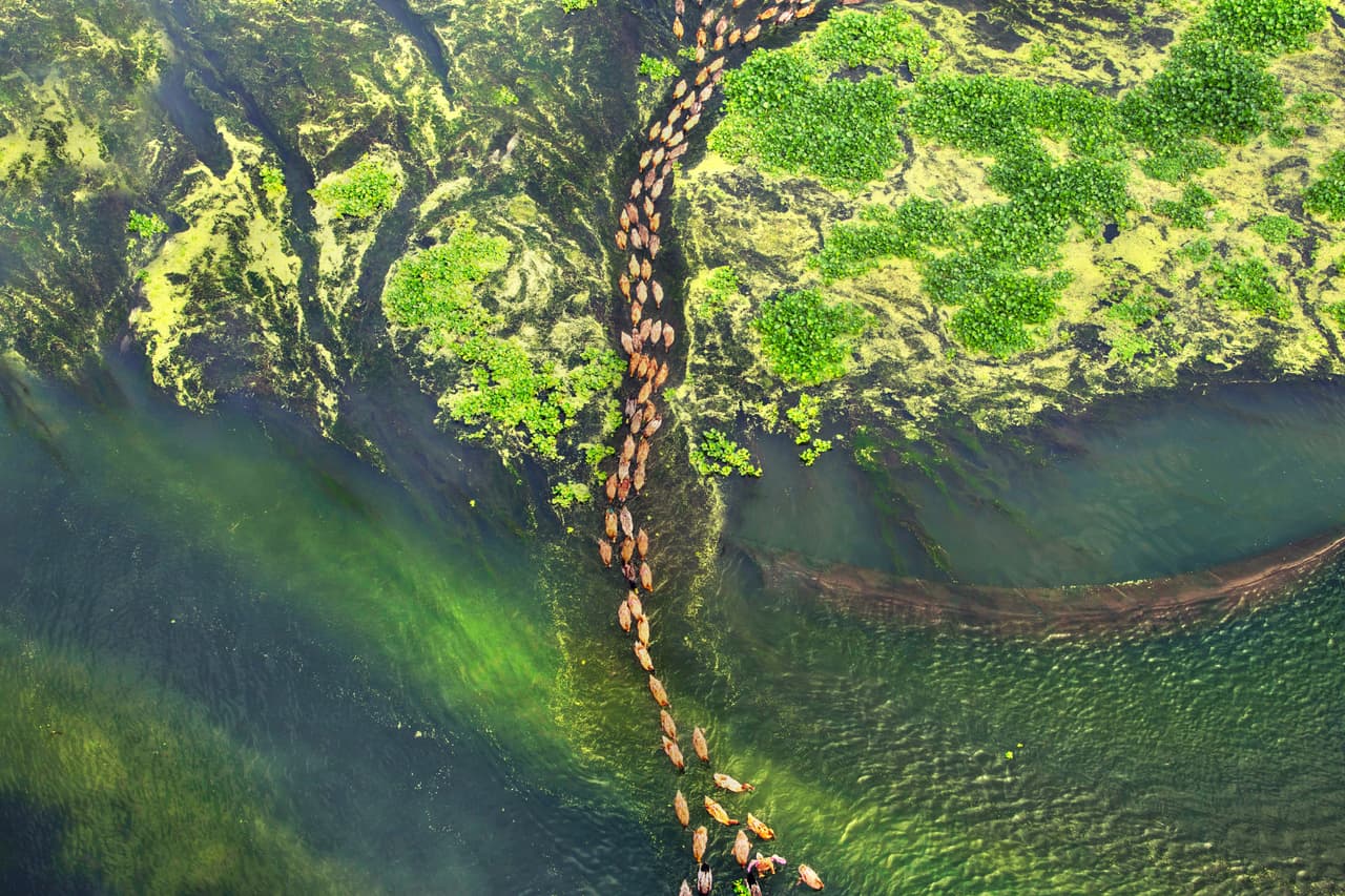 <b>'Pesca',</b> tomada en Quang Ngai, Vietnam. “Tomé esta foto en la madrugada del primer día de primavera en Sa Huynh, que es famosa por su industria pesquera. En este momento, el agua estaba muy clara y el bote recolectaba redes que estaban llenas de anchoas”, explicó el fotógrafo. 
<br>