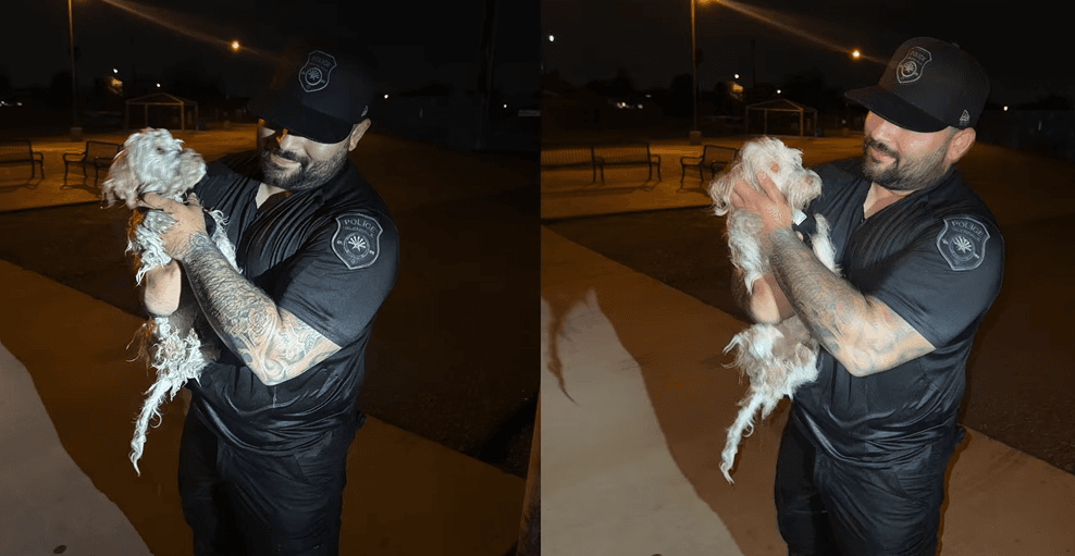 La mascota fue rescatada; este fiel amigo se encuentra 
<b>sano y salvo</b>.