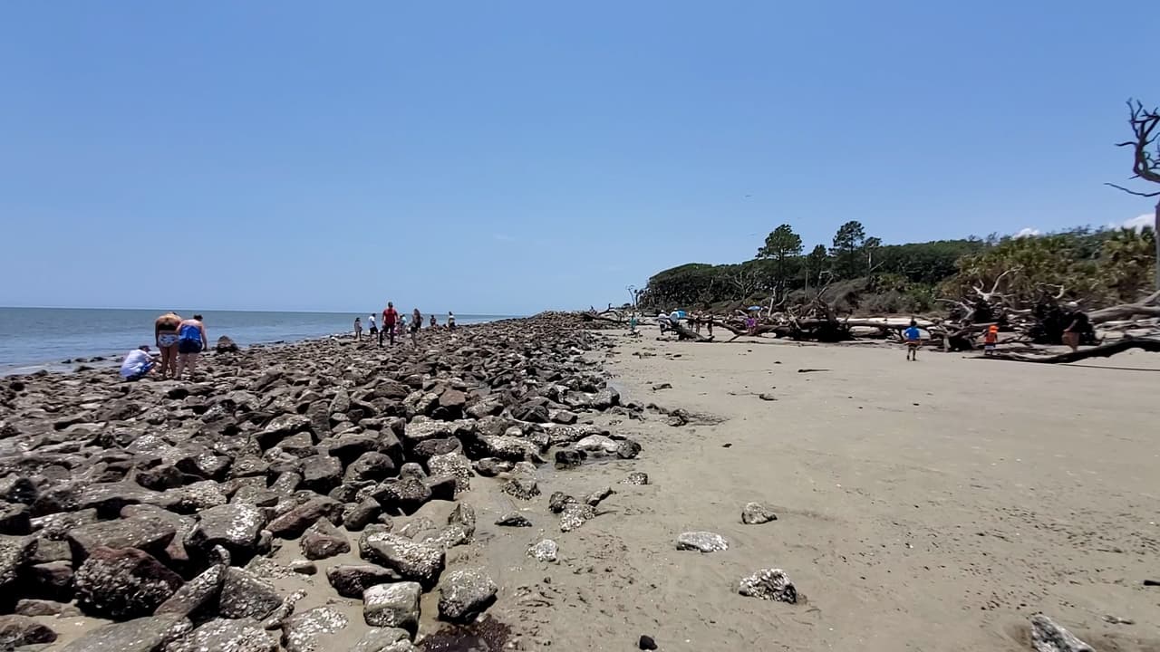 El estacionamiento para Driftwood Beach se encuentra a lo largo de las vías de entrada, justo al lado de N. Beachview Drive.