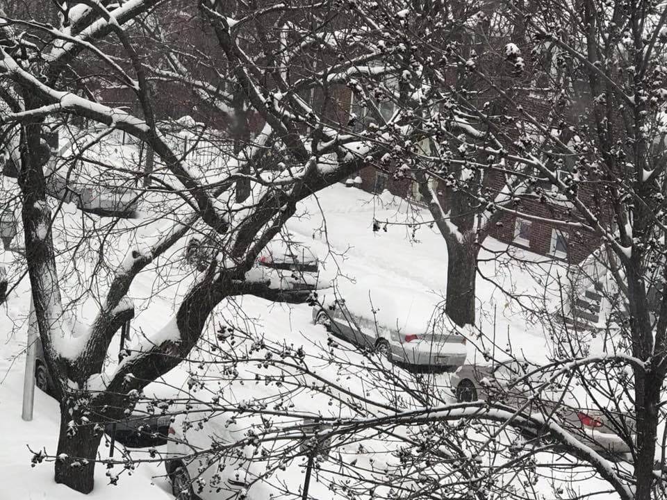 Las restricciones de estacionamiento por nieve entraron en efecto este viernes y se mantendran vigentes este fin de semana.