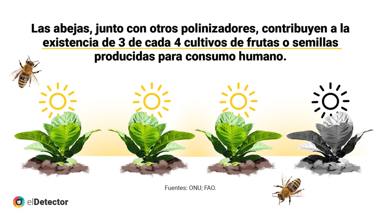 <a href="https://www.univision.com/noticias/diamundialabejas-no-evidencias-humanidad-acaba-4-anos-si-desaparecen-abejas-pero-mundo-si-cambiaria" target="_blank">Lee aquí</a> la verificación completa de
<b> elDetector.</b>