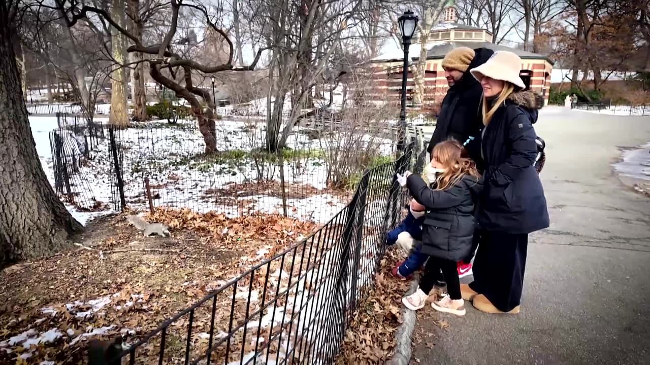 Nueva York se prepara para la llegada de una potente tormenta invernal