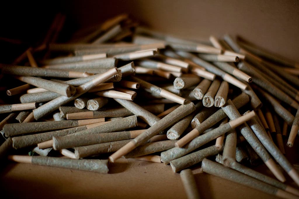 SAFED, ISRAEL - MARCH 07: (ISRAEL OUT) Cannabis cigarettes at the growing facility of the Tikun Olam company on March 7, 2011 near the northern city of Safed, Israel. In conjunction with Israel's Health Ministry, Tikon Olam are currently distributing cannabis for medicinal purposes to over 1800 people in Israel. (Photo by Uriel Sinai/Getty Images)