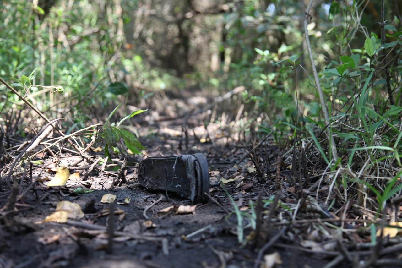 La zona del nuevo hallazgo está a seis millas del pueblo de Arbolito, en Alvarado, Veracruz.