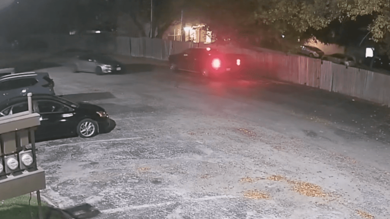 <h2 class="cms-H2-H2"><b>Policía de San Antonio está analizando los movimientos que hay en el video de seguridad</b></h2>
<br>La policía de San Antonio difundió el video donde una camioneta se acerca al carro Kia Optima, 
<a href="https://www.univision.com/local/san-antonio-kwex/savanah-soto-muerta-novio-texas" target="_blank">donde hallaron los cadáveres de Savanah Soto y Matthew Guerra</a>. No especificaron qué está ocurriendo en estas imágenes de seguridad. En la conferencia de prensa cuando dieron a conocer el video públicamente, el jefe de policía William McManus aseguró que actualmente 
<b>el departamento está estudiando lo que se puede observar de los movimientos que hacen las personas de interés en este caso.</b>
<br>
<br>“Quiero asegurarles que los detectives están haciendo todo lo posible para resolver este caso”, dijo McManus.