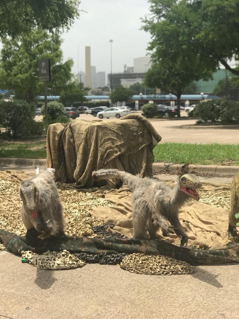 Un evento ideal para disfrutar en familia en estos tiempos de pandemia.