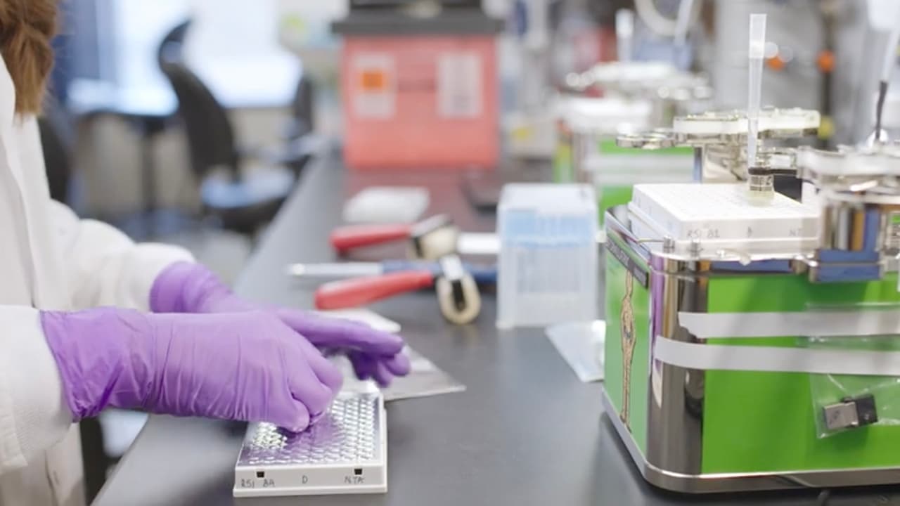 La subvariante BA.2 de ómicron es más contagiosa: esto es lo que se sabe hasta ahora