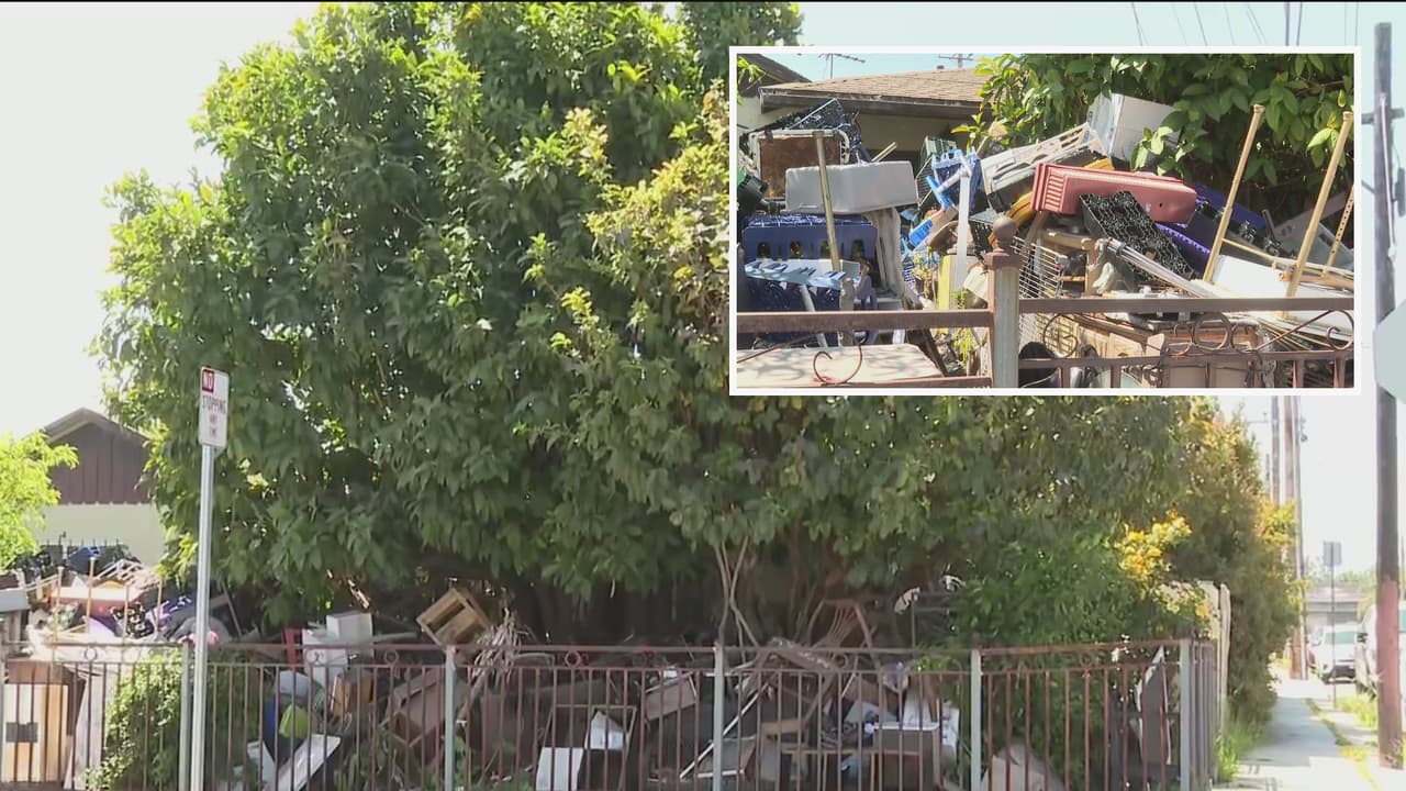 Plagas y reptiles: Nueva casa cubierta de basura indigna a vecindario