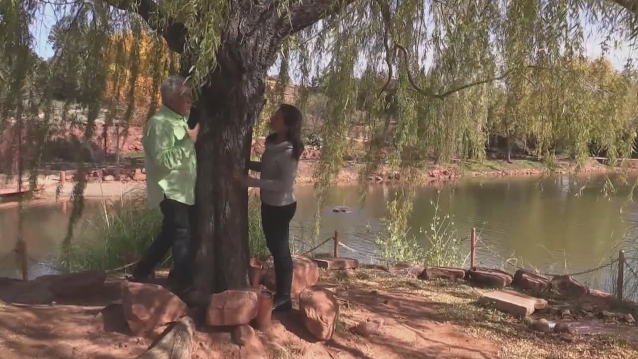 <b><a href="https://www.univision.com/local/arizona-ktvw/explorando-arizona-el-refugio-espiritual-en-sedona-mago-retreat">Mago Retreat</a></b>: Este retiro es buscado por millones de personas al año buscando sanación espiritual en sus 178 acres de paz absoluta.
<br>