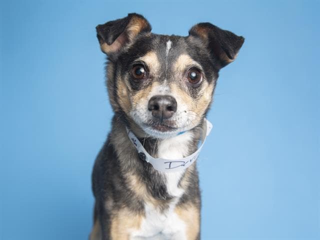 Devo es un tipazo de 10 años. Qué personalidad.