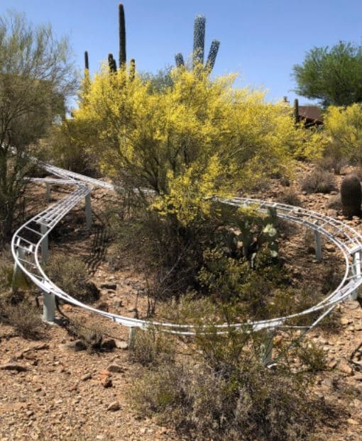 Después de probar inicialmente la montaña rusa con algunas bolsas de concreto, Dykman comenzó a permitir que los miembros de la familia dieran un paseo por la pista.
