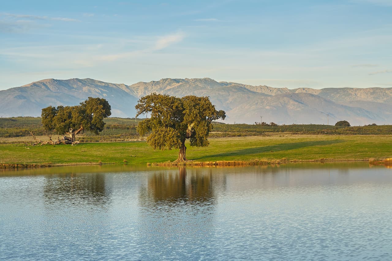 <b>Thousand Oaks, California</b>
<br>Fue catalogada como 
<a href="https://www.univision.com/local/los-angeles-kmex/estas-son-las-10-ciudades-de-california-mas-seguras-para-criar-hijos-fotos" target="_blank">la 17 ciudad más segura de Estados Unidos</a>. A menudo es reconocida por su proximidad a Los Ángeles que significa que el ingreso promedio es uno de los más altos en la lista. 
<br>
<br>Esta ciudad del condado de Ventura tiene un fantástico sistema de bibliotecas y un compromiso con los espacios abiertos y las artes.
<br>
<br>
<b>Población: </b>129,240. 
<br>
<b>Ingreso promedio: </b>$130,793. 
<br>
<b>Tasa de graduación:</b> 93.5%. 
<br>
<b>Tasa de delincuentes sexuales (por cada 10.000):</b> 2.90.
<br>
<b>Promedio de seguridad: </b>92.05.