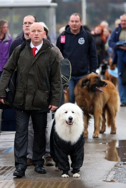 Y es que el clima lluvioso de Inglaterra no es para escatimar esfuerzos.