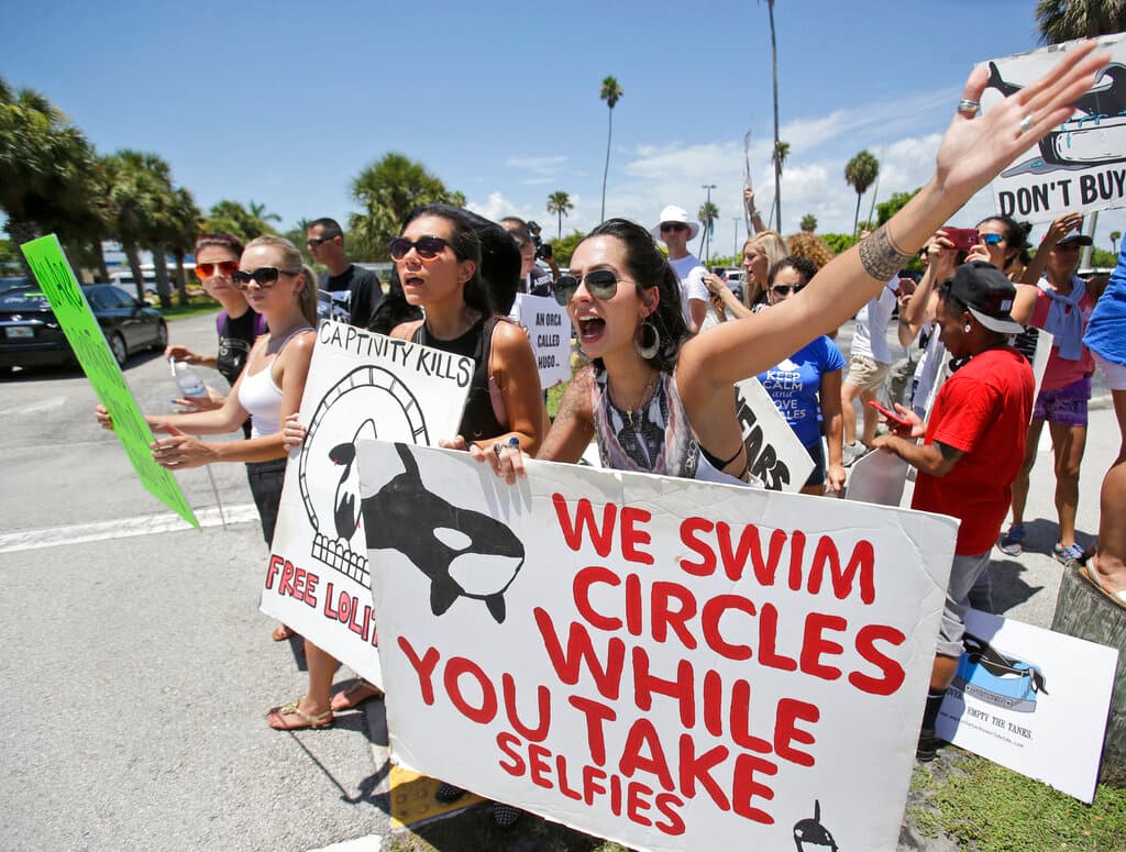 Manifestantes intentan hacer retroceder a la gente a la entrada del Miami Seaquarium durante una protesta contra el cautiverio durante décadas de la orca Lolita en el Miami Seaquarium de Miami, 9 de agosto 9, 2015.
