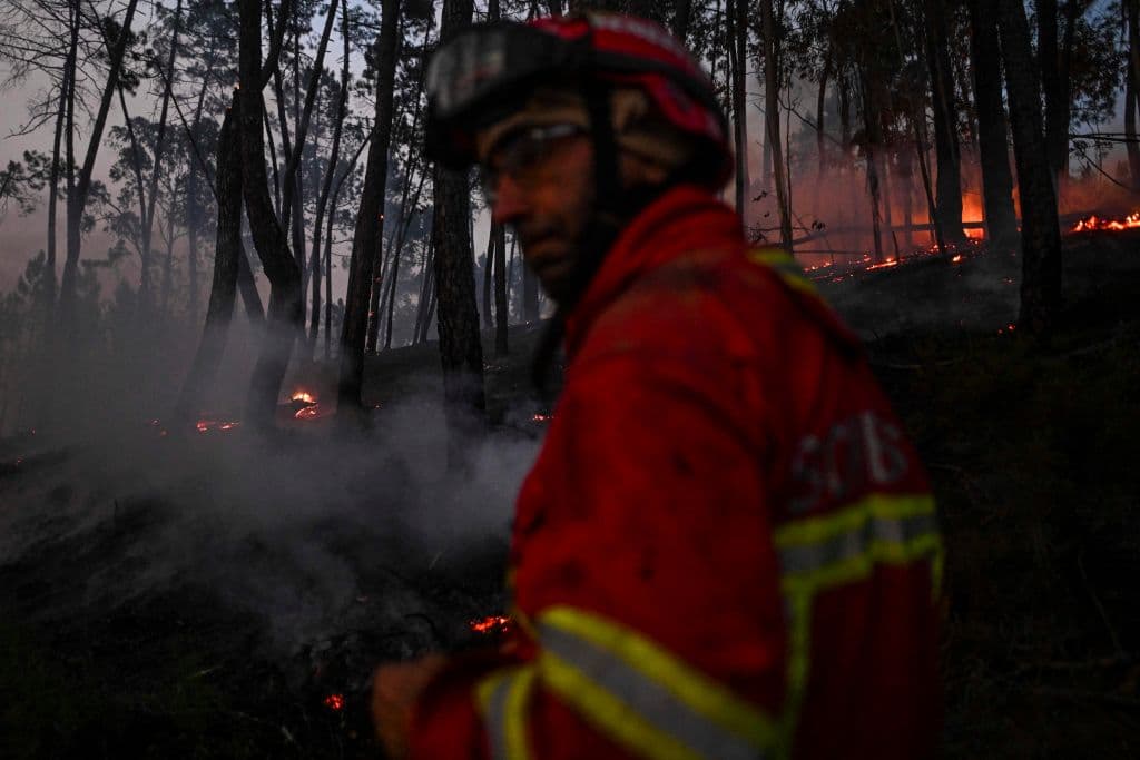Sin embargo, casi todo el territorio portugués presentaba el domingo un riesgo "máximo", "muy alto" o "elevado" de incendios, especialmente las regiones interiores del centro y del norte.