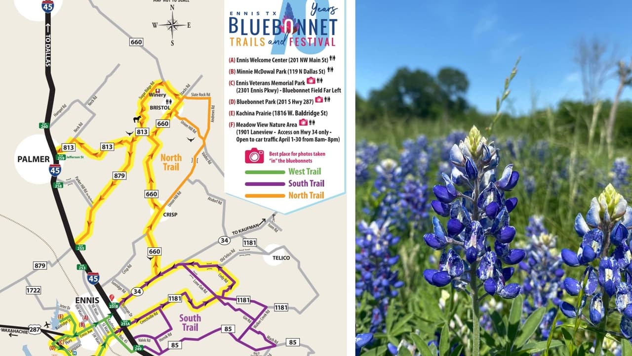 Este es el mapa de los seis puntos del festival Bluebonnet Trails and Festival en Ennis, Texas. De los tres senderos, los que más se recomiendan son 
<a href="https://www.google.com/maps/place/Bluebonnet+Park/@32.312444,-96.6573969,17z/data=!3m1!4b1!4m5!3m4!1s0x864edb8d094592c5:0xd863c58775abe70c!8m2!3d32.312444!4d-96.6552082" target="_blank">Bluebonnet Park </a>y 
<a href="https://www.google.com/maps/place/Meadow+Nature+Area/@32.3003392,-96.6577917,17z/data=!3m1!4b1!4m5!3m4!1s0x864edb8d937f7349:0xbc4221a18797a3!8m2!3d32.3003392!4d-96.655603" target="_blank">Meadow Nature Area</a>. Estos se ubican a 3.3 millas uno del otro.