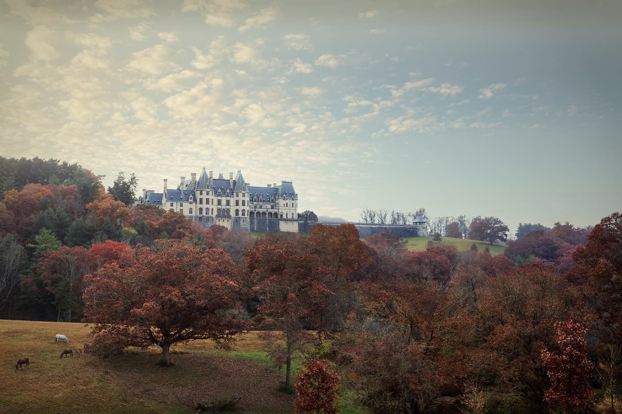 Si bien en la actualidad la superficie de Biltmore Estate es de aproximadamente 8,000 acres, la superficie en acres durante la vida de Vanderbilt era de aproximadamente 125,000 acres e incluía propiedades que luego se vendieron al gobierno federal para crear el Bosque Nacional Pisgah, uno de los primeros bosques nacionales al este del Mississippi.