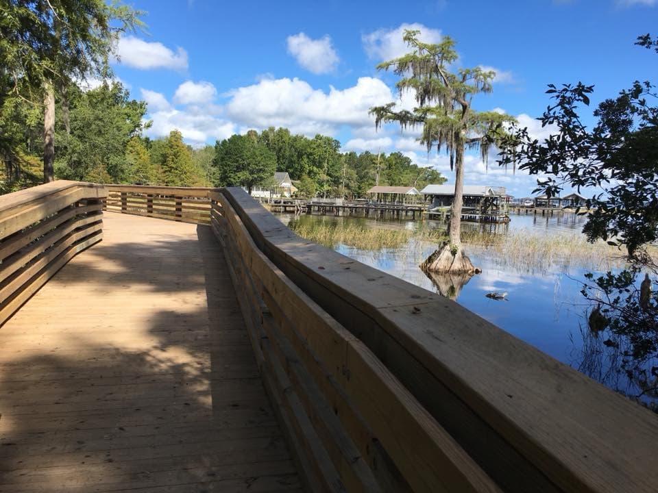 <b><a href="https://www.ncparks.gov/lake-waccamaw-state-park/home">Lake Waccamaw</a></b>. Cuenta con un paseo marítimo de 700 pies que se adentra en aguas poco profundas de color que permite observar la vida silvestre y pescar, y más de siete millas de senderos permiten a los excursionistas explorar múltiples ecosistemas y plantas raras
<br>
<br>
<b><a href="https://goo.gl/maps/5cTgwU66Tamafni59">Cómo llegar</a></b>