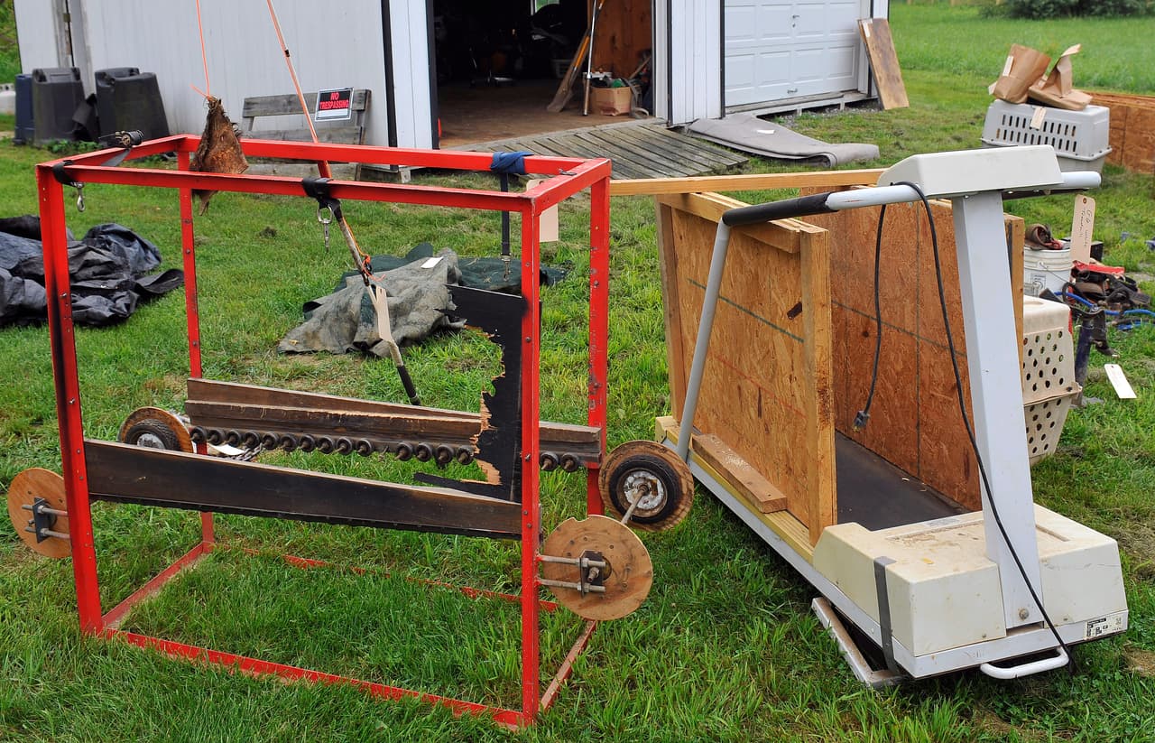 Es común que los mantengan fuera de la vista del público, en patios rodeados de bardas altas, sótanos y cocheras.