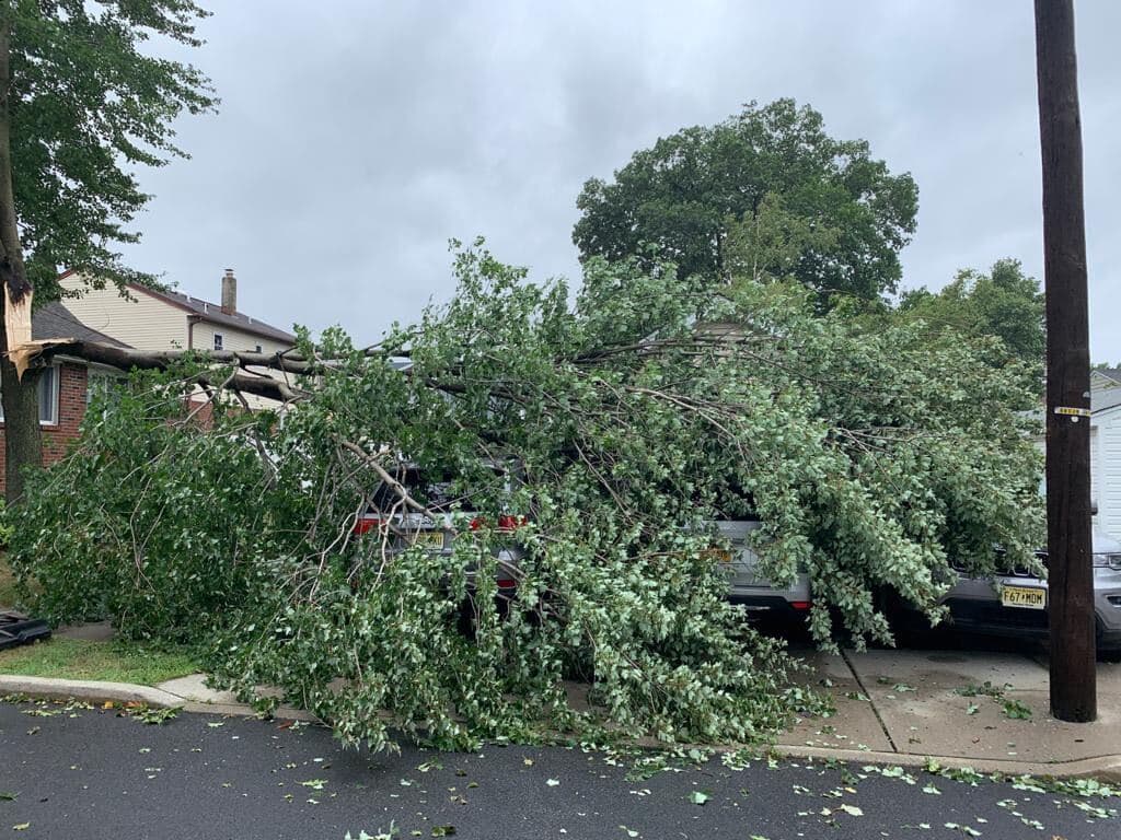 Con vientos de mas de 50 millas por hora, árboles caídos sobre autos en Rochelle Park, Nueva Jersey.