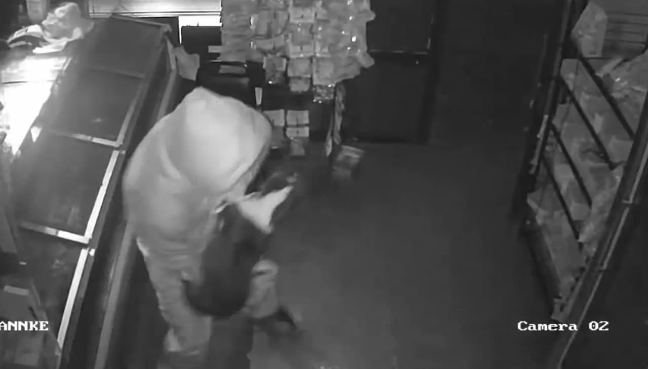 Presuntos ladrones en serie roban negocios en Brooklyn y Queens y se llevan hasta ¡un perro!