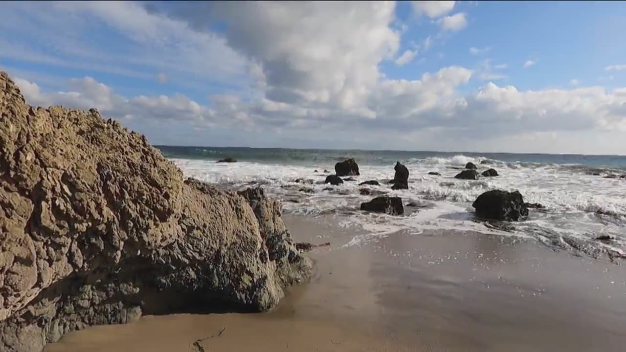 Varias personas en Los Ángeles no tienen la oportunidad de ir al océano y aprender de él, por lo que dos biólogos quieren capacitar en biodiversidad marina a educadores de primaria. El experto Dean Pentcheff afirma que “queremos traer la ciencia a esos maestros para que ellos la lleven directamente a los salones de clase”.