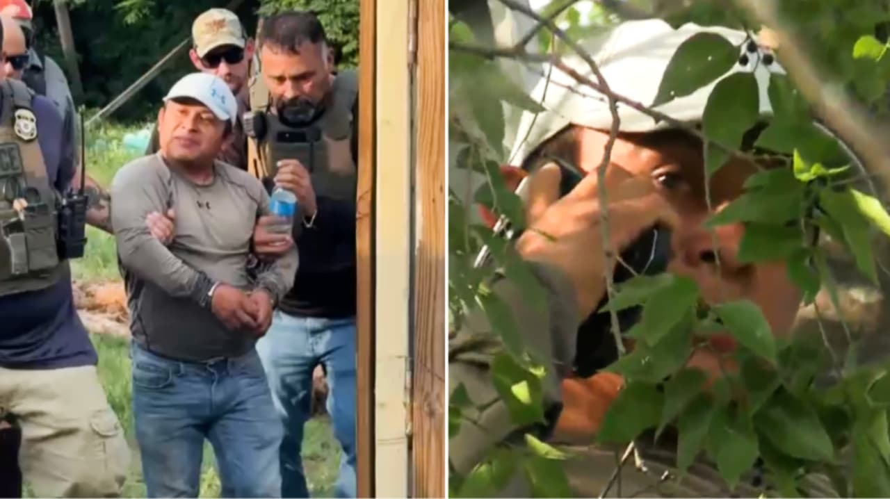 Hispano que evitó a ICE subiéndose a árbol es deportado; su bebé lucha contra una rara enfermedad