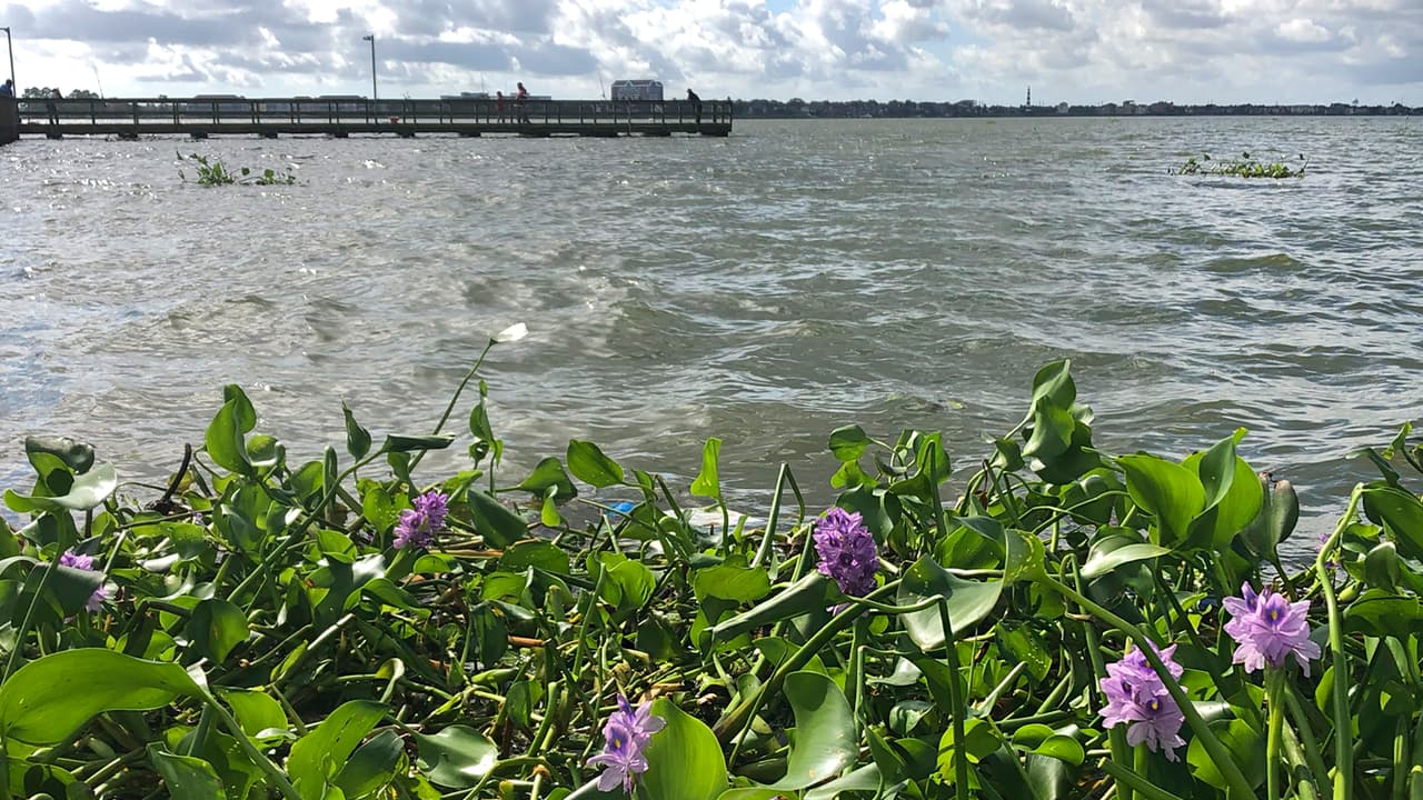Los amantes de la fotografía también pueden aventurarse a hacer unas buenas tomas.