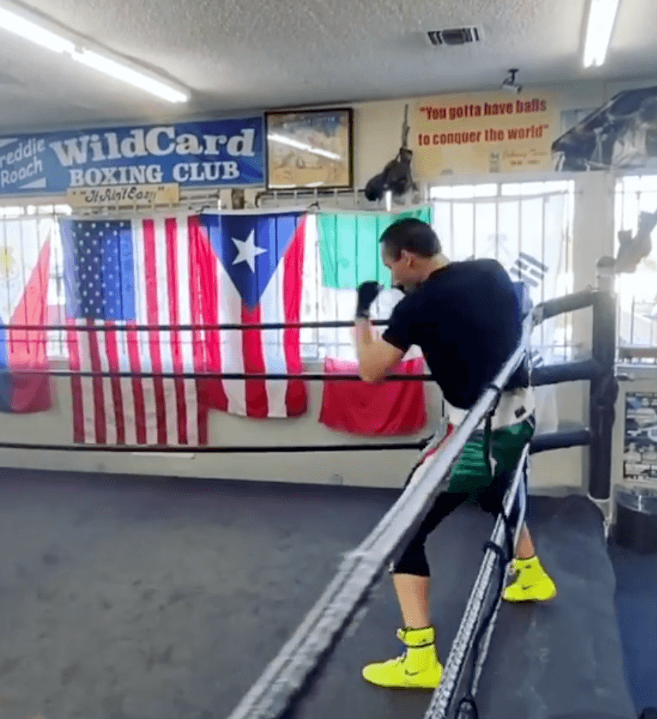 El boxeador mexicano se ausentó durante más de dos años de los cuadriláteros y volverá en este 2019 para presentarse ante Daniel Jacobs.