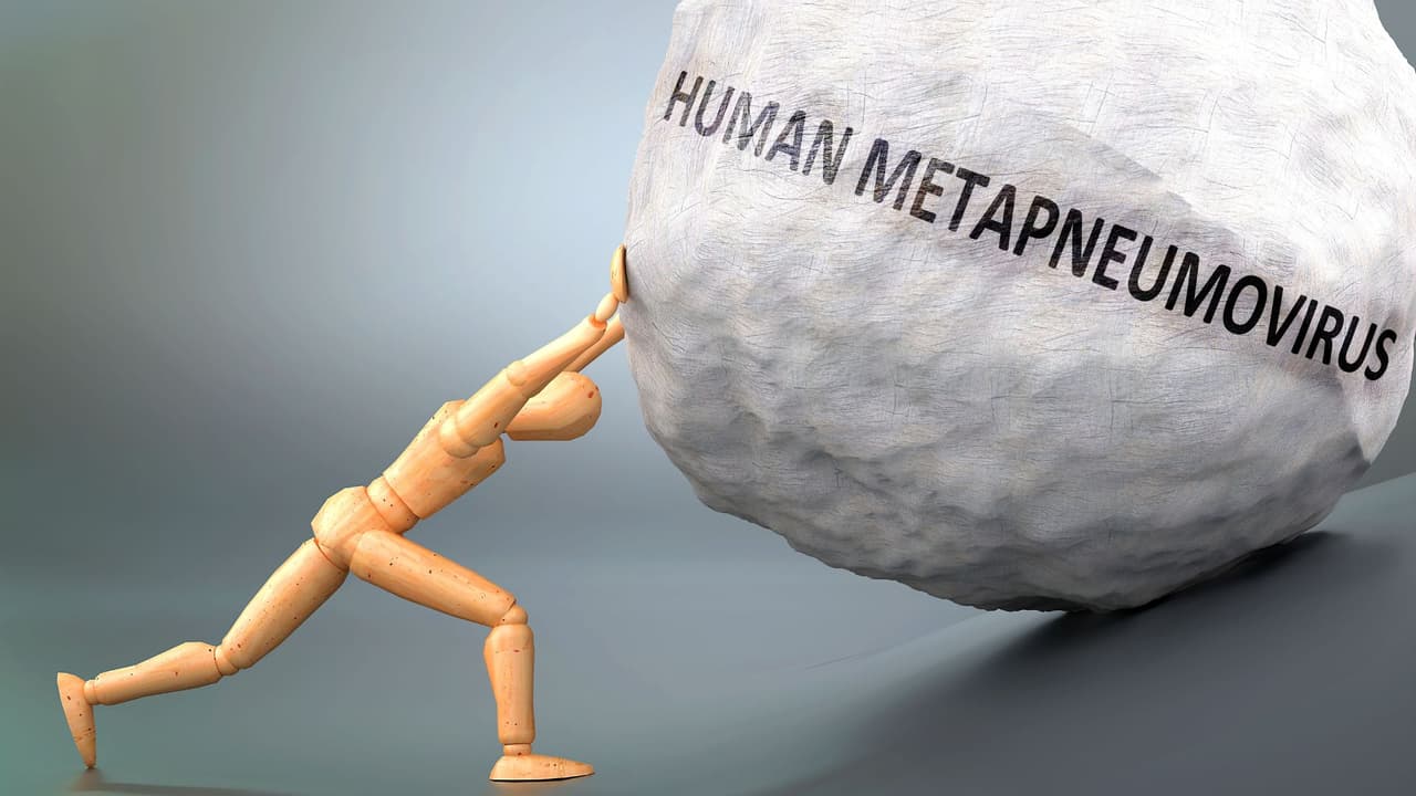 Los síntomas comúnmente asociados con el metapneumovirus incluyen tos, fiebre, congestión nasal y dificultad para respirar. Los síntomas clínicos de la infección por metapneumovirus pueden progresar a bronquitis o neumonía y son similares a otros virus que causan infecciones de las vías respiratorias superiores e inferiores.
<br>