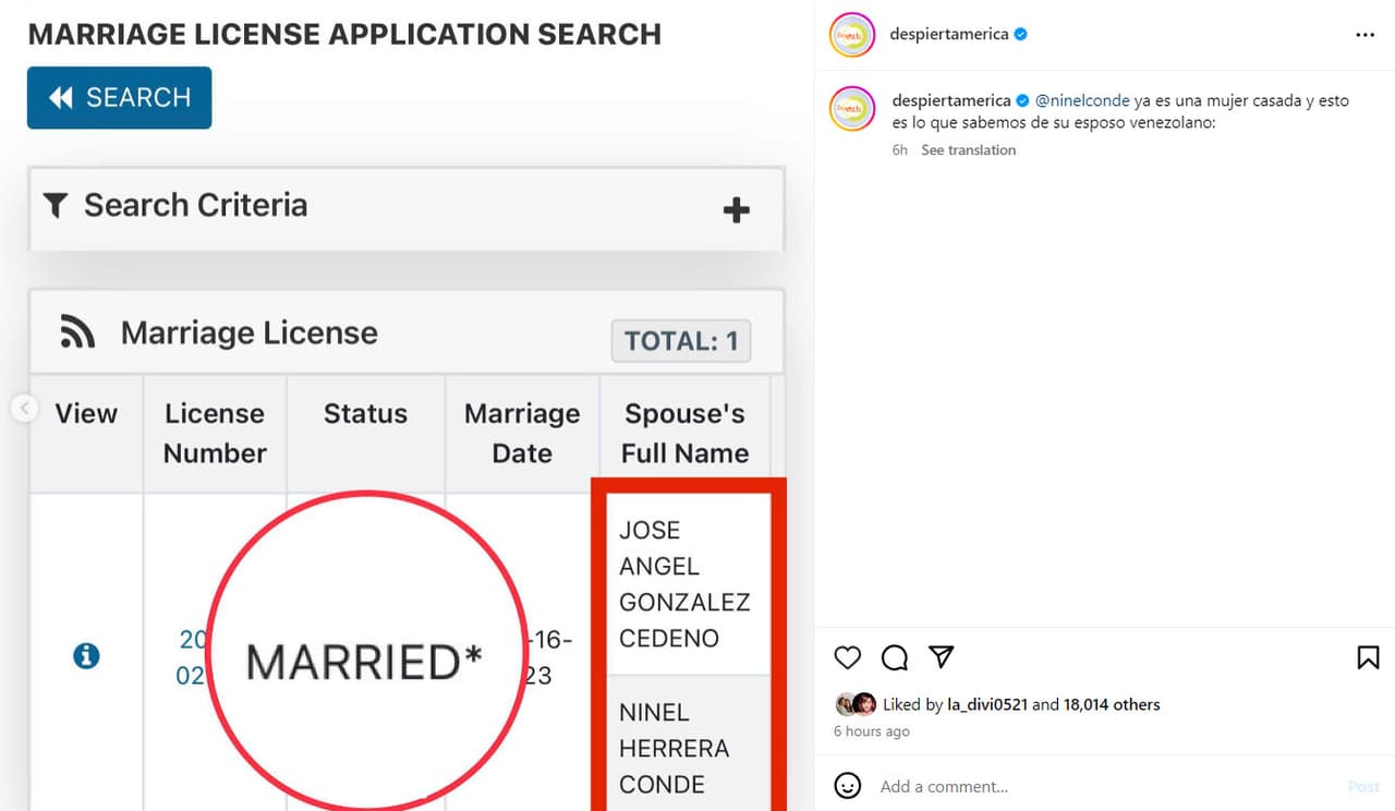 La licencia de matrimonio de Ninel Conde y José Ángel González Cedeño.