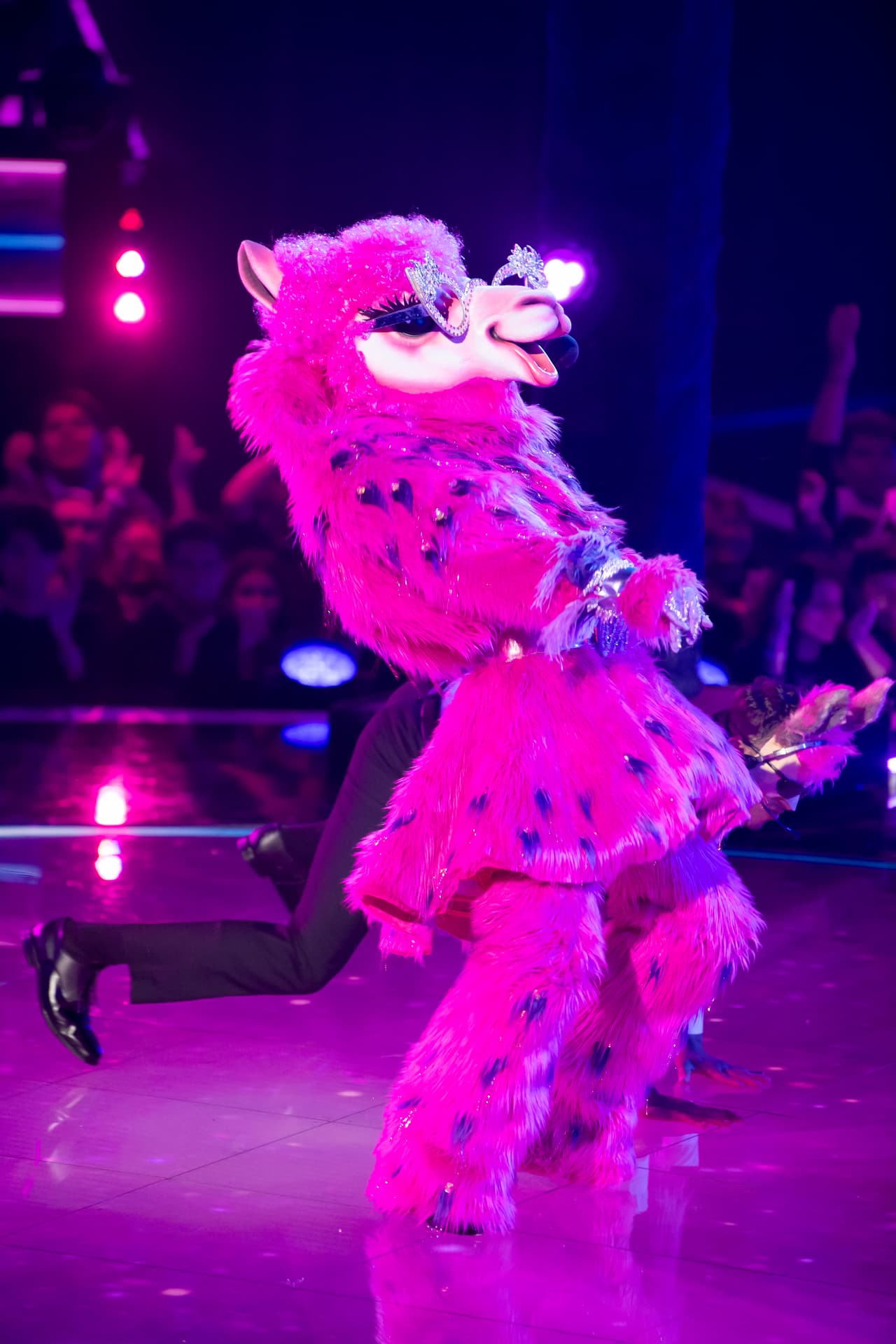 Llama fue el último personaje de este combate y cantó ‘Miénteme’, de María Becerra.