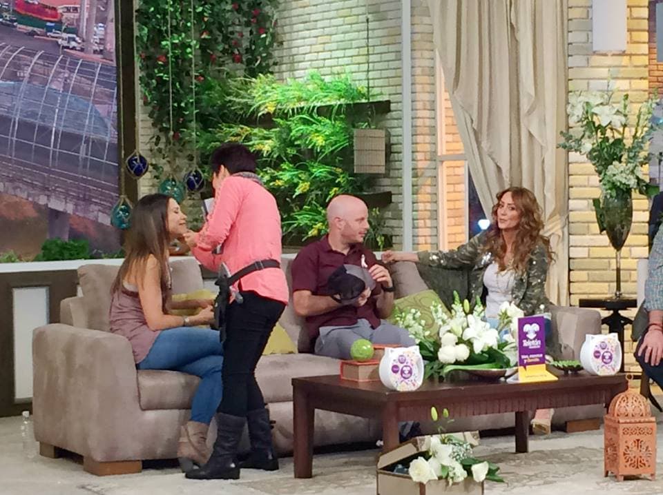 ¡Sombr4a aquí, sombra allá! Nuestro staff siempre ateto de los talentos.