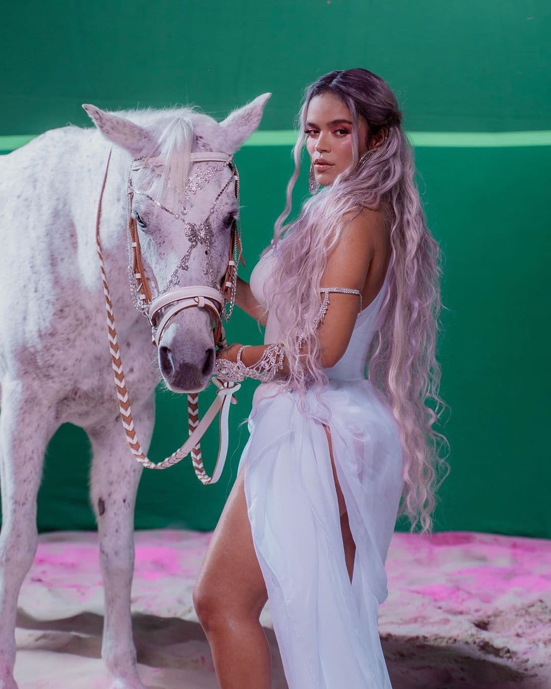 En Argentina su significado es el conjunto de pelos gruesos que poseen los caballos.