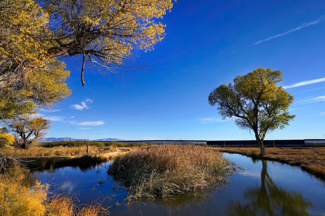 Esta área es un corredor de vida silvestre crítico. Aquí habitan dos felinos en peligro de extinción, el ocelote y el jaguar, que atraviesan la frontera internacional en busca de agua y presas.
