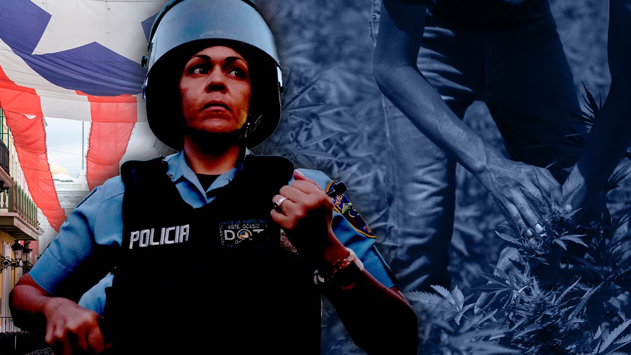 Marihuana, fentanilo y heroína: así es el consumo de drogas en Puerto Rico