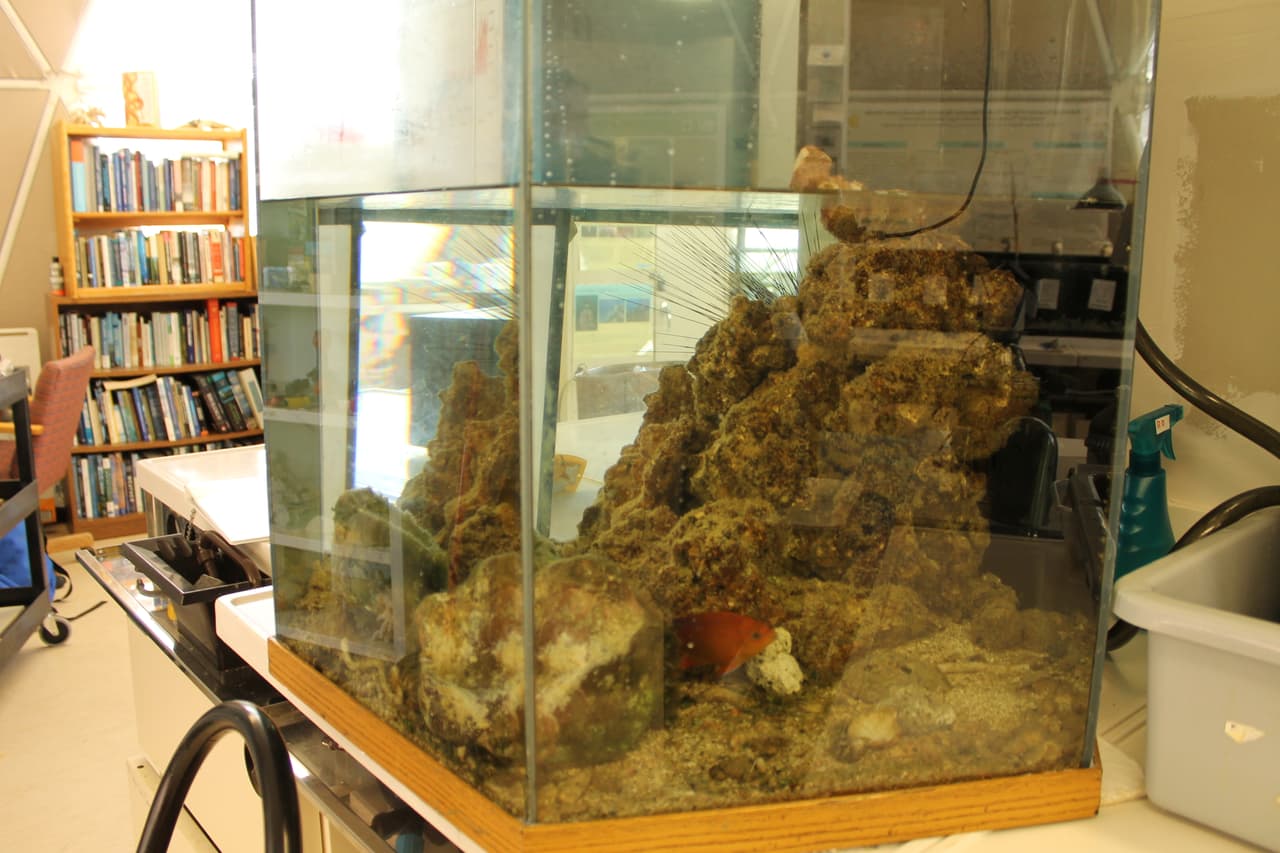 Investigaciones marinas que se realizan dentro de la biosfera