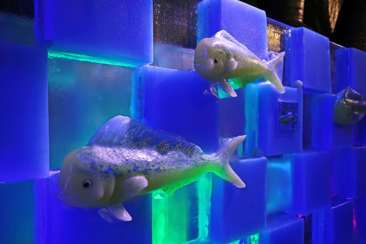 Peces de todos los colores, formas y tamaños pueden ser apreciados a lo largo de la exhibición.