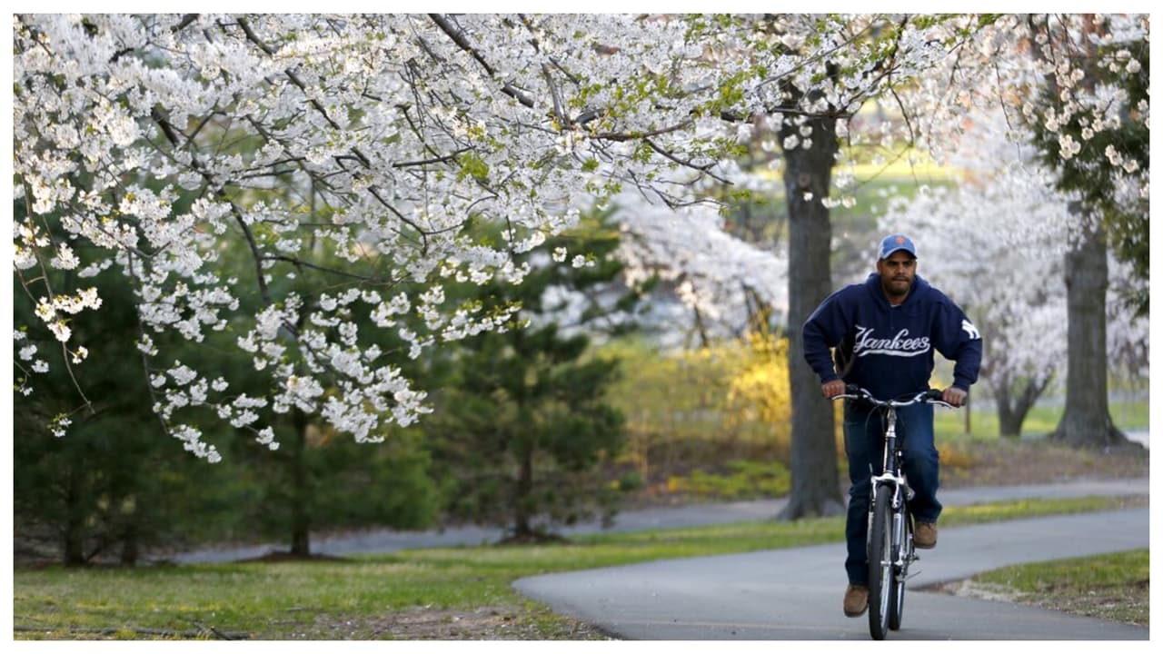 Debido a la cantidad de árboles de cerezos en flor de este parque, cada año realiza un festival en su honor: 
<b>Essex County Cherry Blossom Festival</b>. Su programa incluye carreras, ciclismo, y muchas actividades familiares. 
<br>