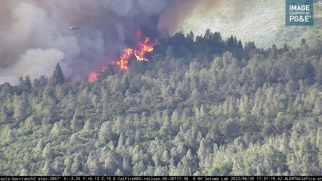 Es el primer incendio de la temporada que ha comenzado a quemar árboles.