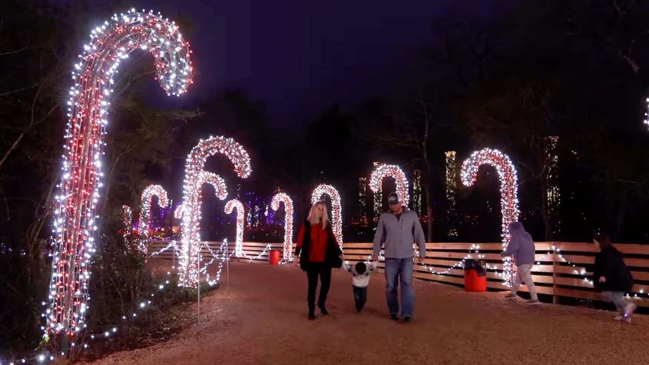 Entre las atracciones más recientes, se destaca un sendero de luces peatonal, con túneles mágicos y un pesebre en vivo.