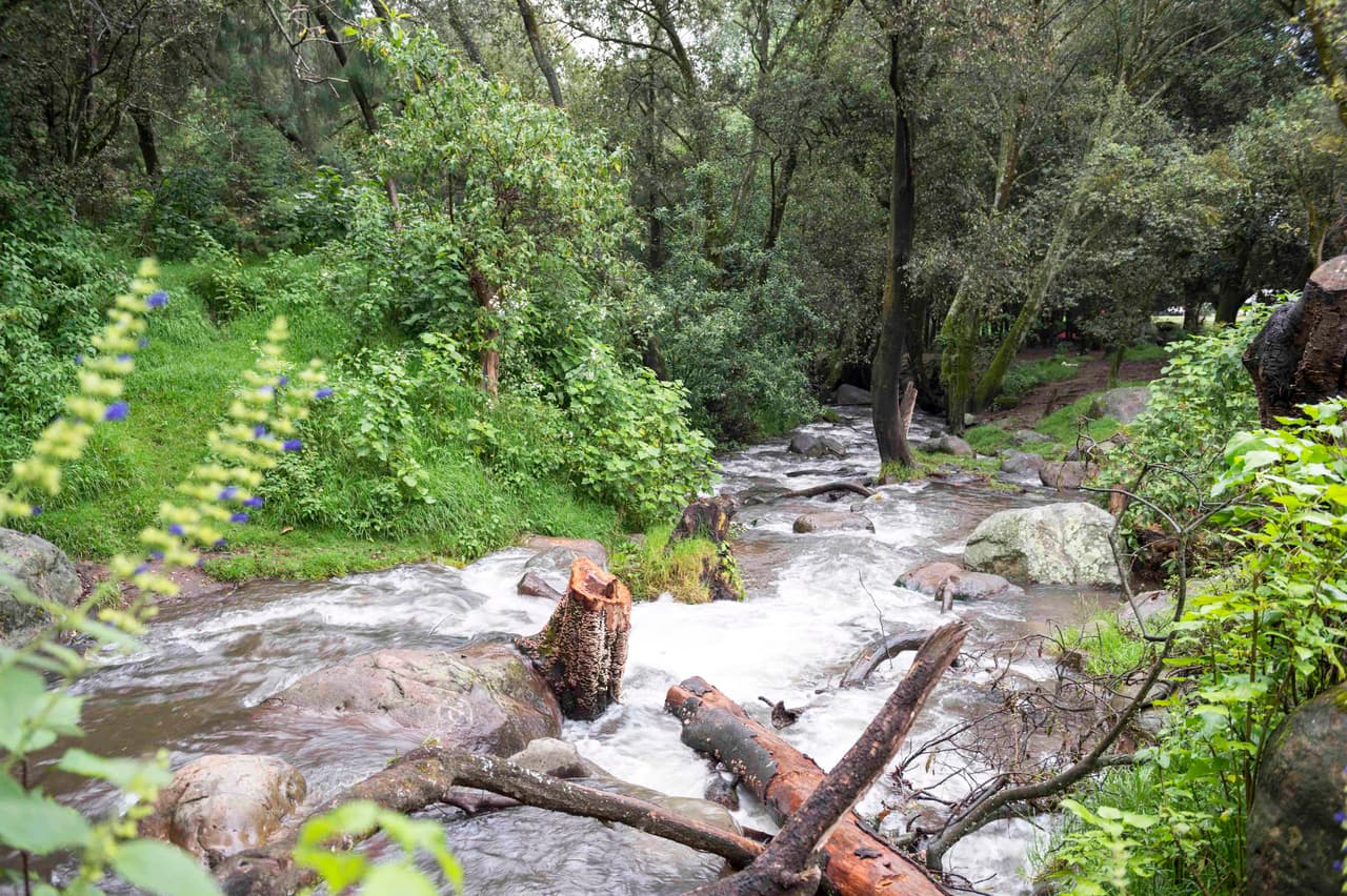 'Muchacha Italiana Viene a Casarse' nuevamente nos llenó de angustia por la salud de Gianna.