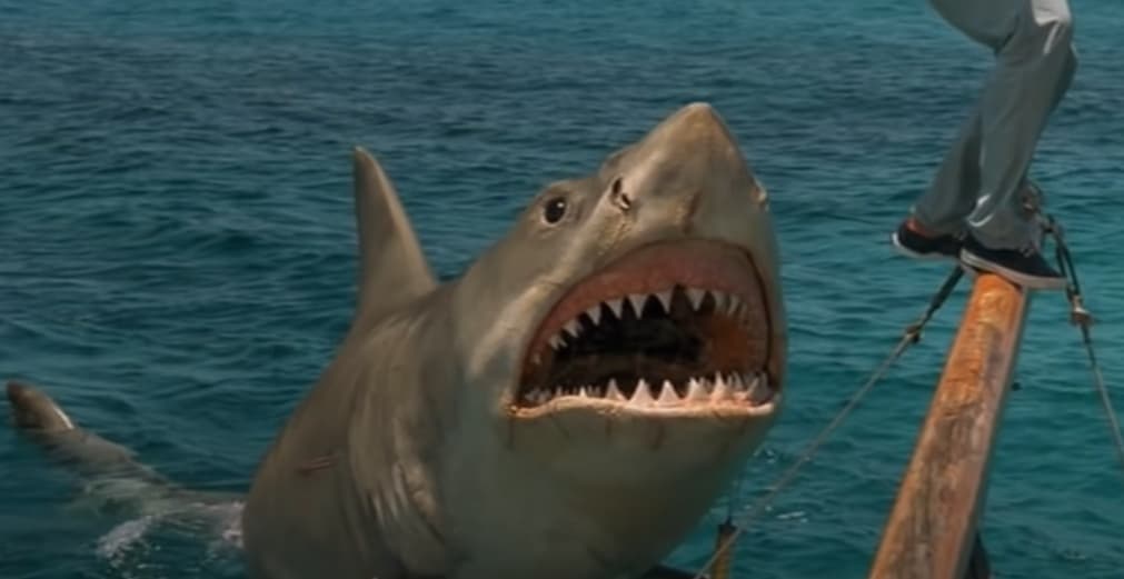 Jaws the Revenge