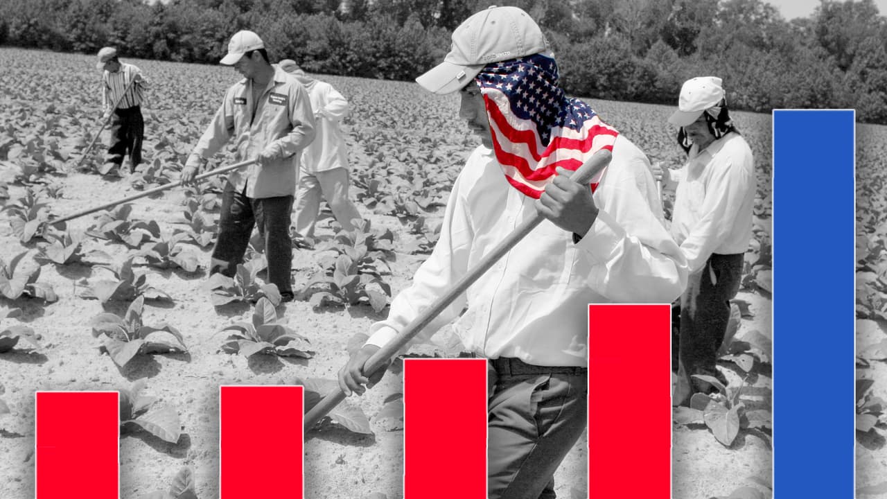 Cinco gráficos para entender la situación económica de los latinos en EEUU