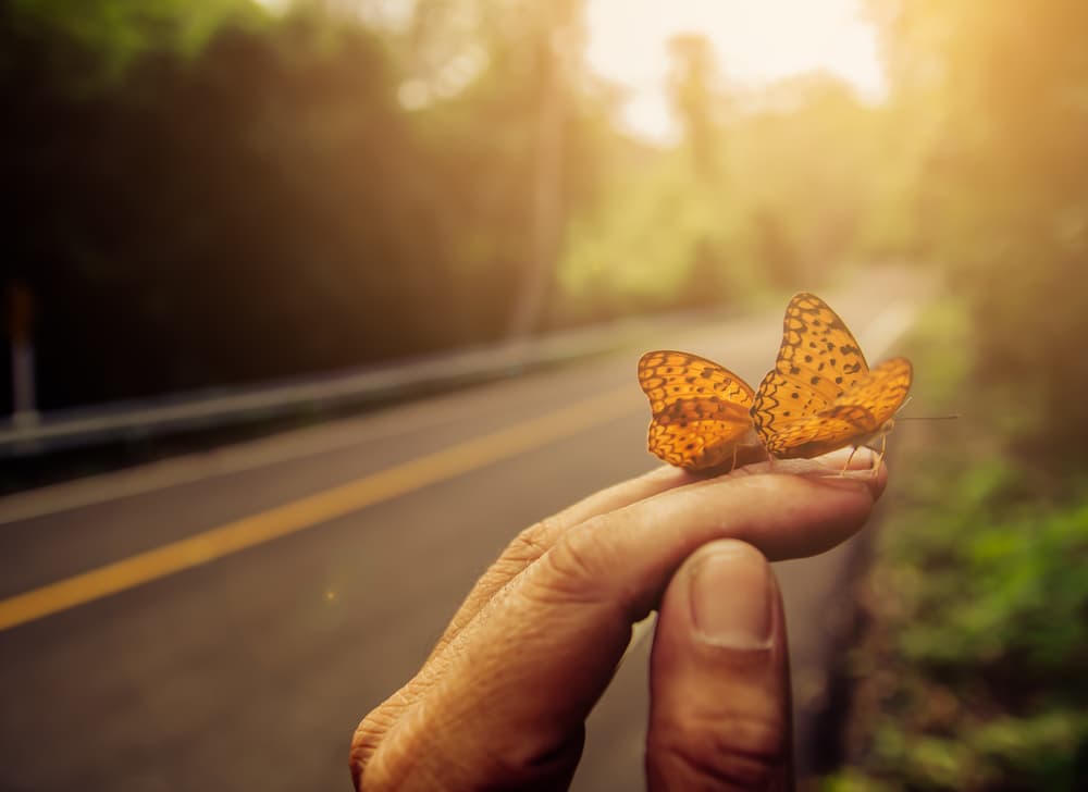 <b>Escorpión</b>
<br>La energía de El Sol, incrementa sus ansias de poder y su potencial de transformación interna. Aporta la capacidad de tomar decisiones importantes.