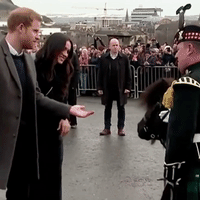El pequeño caballo originario de las islas Shetland, atacó al príncipe Harry y el palacio de Kensington compartió las imágenes en Twitter.