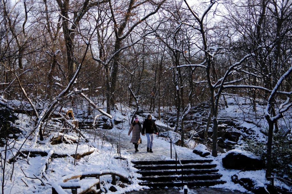 Ante la incertidumbre, residentes y visitantes disfrutan de la nevada, creando postales en 
<b><a href="https://www.univision.com/local/nueva-york-wxtv/aumentan-robos-en-central-park-investigan-si-inmigrantes-adolescentes-estan-involucrados-video" target="_blank">el día perfecto, aunque no sea Navidad en Central Park</a></b>.