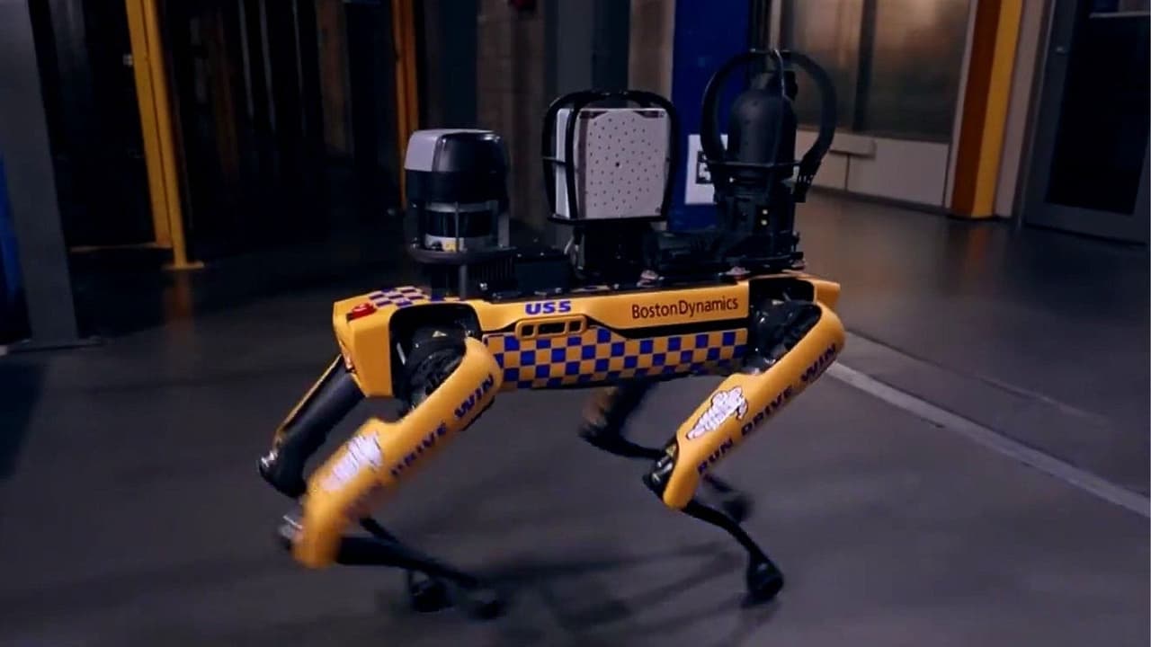 ICE planea gastar 2 millones de dólares en perros robot para operaciones de control migratorio