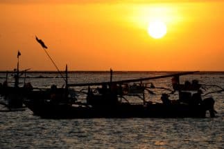 Otorgan ayuda directa a pescadores comerciales afectados por los huracanes Irma y María 